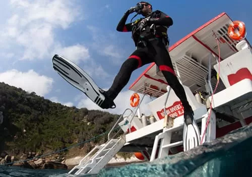 Curso de Mergulho introdutorio scuba diver